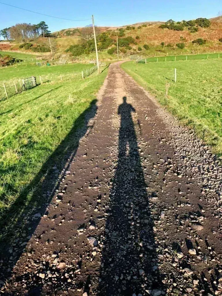 Long shadows