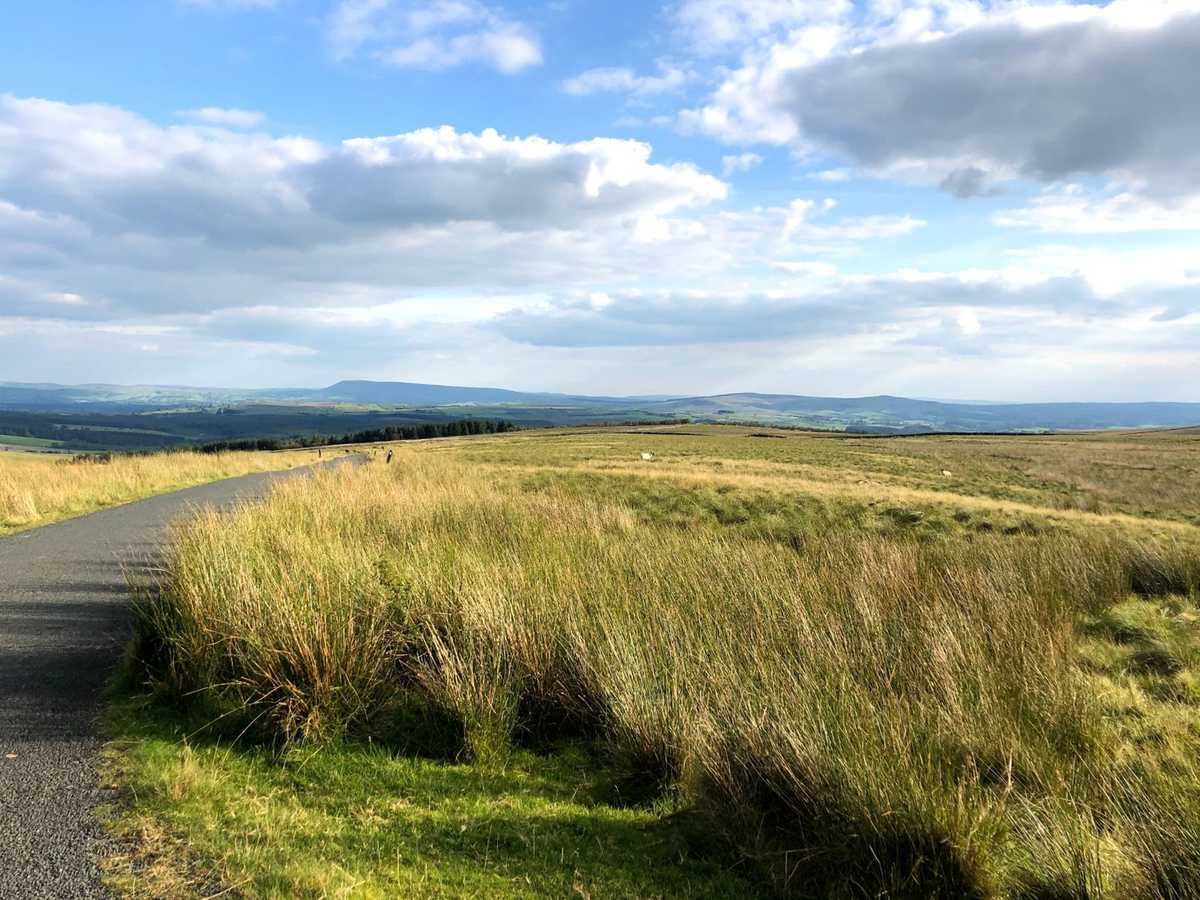 Le Tour Up North: Day 1